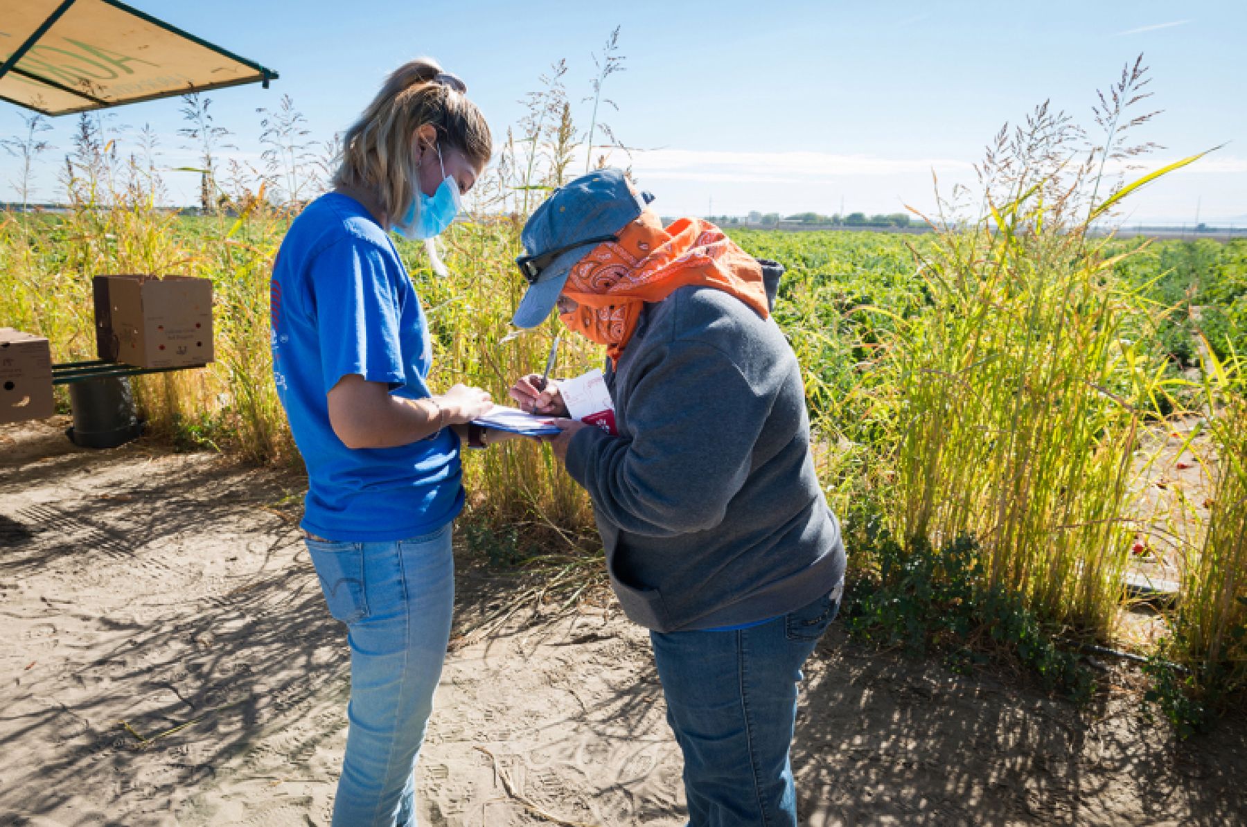 Two masked people stand in front of a farm produce field, one holding a clipboard while the other writes on it.