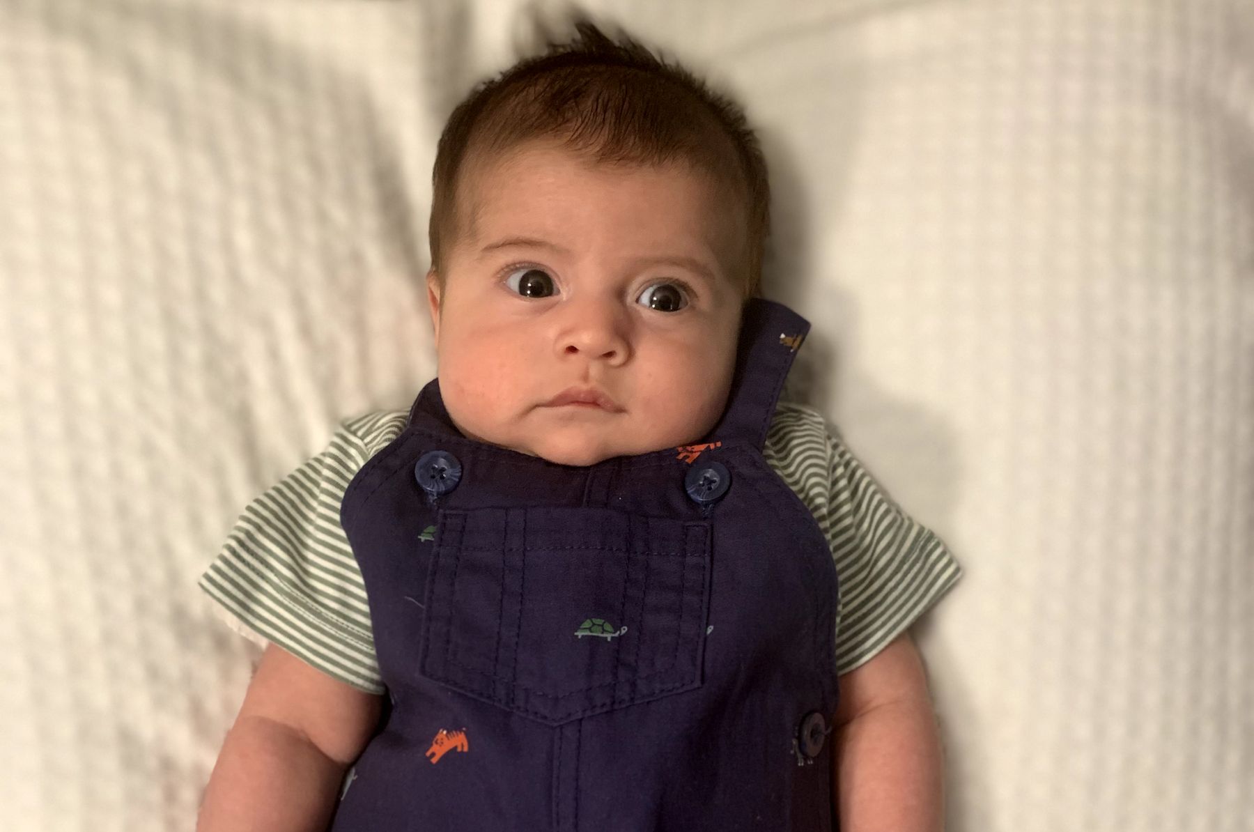 Infant wearing overalls lays on a bed and looks up with wide eyes.